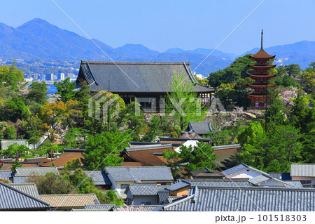 【広島県】満開の桜と厳島神社の五重塔と豊国神社（宮島） 101518303