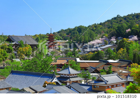 【広島県】満開の桜と厳島神社の五重塔と豊国神社(宮島) 【広島県】満開の桜と厳島神社の五重塔と豊国神社(宮島) 101518310