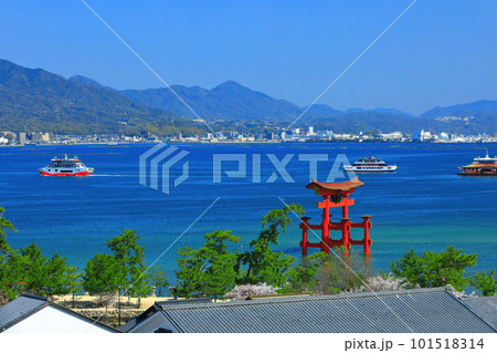 【広島県】改修後の厳島神社大鳥居（宮島） 101518314
