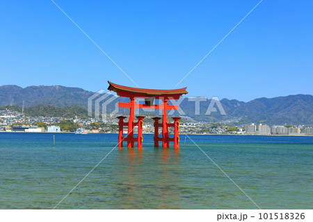 【広島県】改修後の厳島神社大鳥居（宮島） 101518326