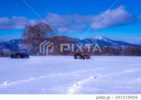 冬の青空と雪に覆われた長門牧場　長野県長和町 101519409