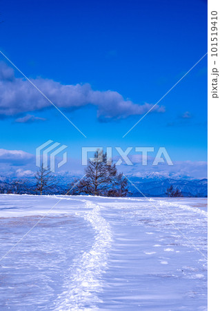 冬の青空と雪に覆われた長門牧場　長野県長和町 101519410
