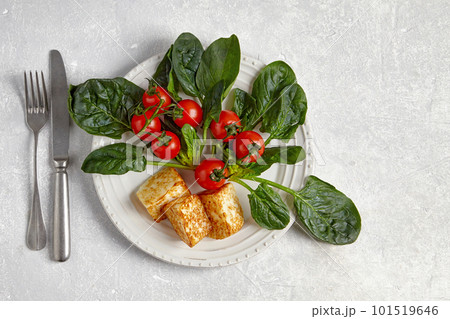 Red cherry tomatoes on a branch, green spinach leaves and fried mozzarella curd cheese on a dark plate on a light concrete table 101519646