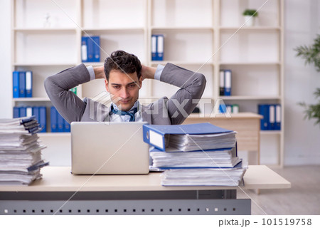Young male employee working in the office Young male employee working in the office 101519758
