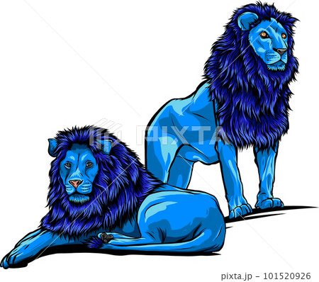 Illustration of colorful lion, angry expressionのイラスト素材