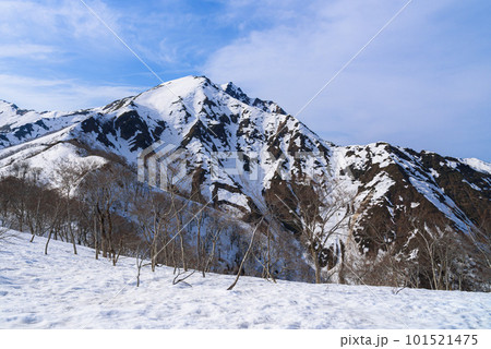 天神尾根から見る残雪期の谷川岳 天神尾根から見る残雪期の谷川岳 101521475
