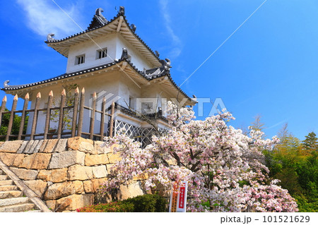 【広島県】桜が満開の因島水軍城 【広島県】桜が満開の因島水軍城 101521629