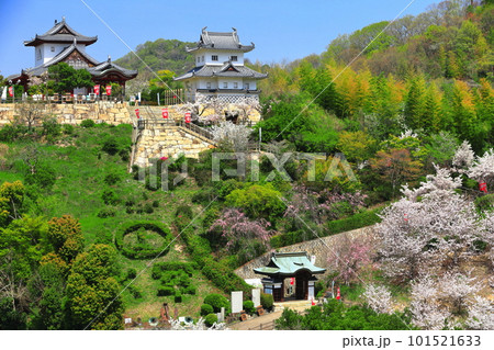 【広島県】桜が満開の因島水軍城 【広島県】桜が満開の因島水軍城 101521633
