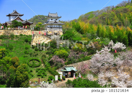 【広島県】桜が満開の因島水軍城 101521634