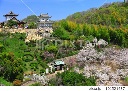 【広島県】桜が満開の因島水軍城 【広島県】桜が満開の因島水軍城 101521637