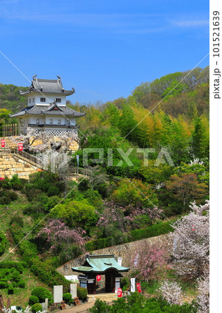 【広島県】桜が満開の因島水軍城 101521639