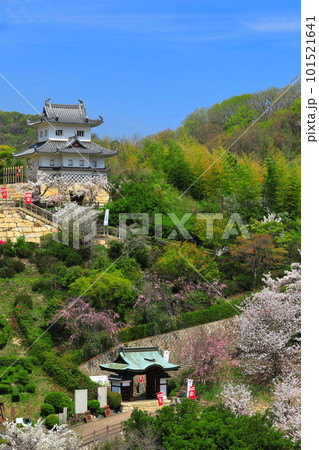 【広島県】桜が満開の因島水軍城 101521641
