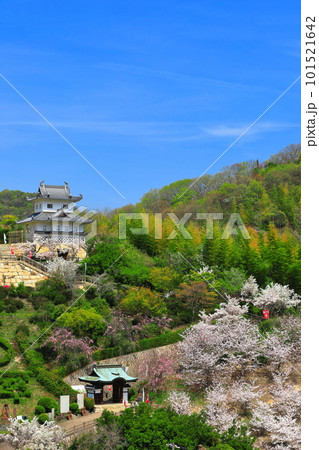 【広島県】桜が満開の因島水軍城 101521642