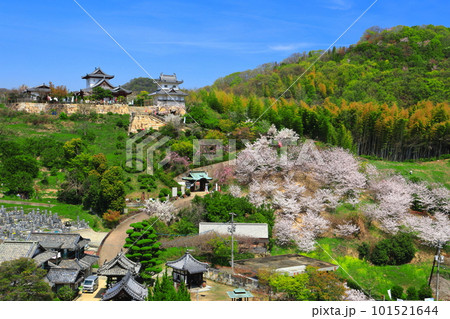 【広島県】桜が満開の因島水軍城 101521644