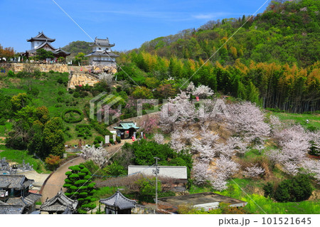 【広島県】桜が満開の因島水軍城 101521645
