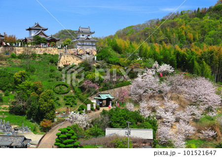 【広島県】桜が満開の因島水軍城 【広島県】桜が満開の因島水軍城 101521647