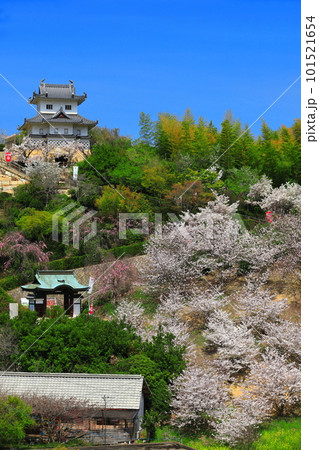 【広島県】桜が満開の因島水軍城 101521654