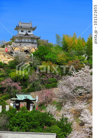 【広島県】桜が満開の因島水軍城 101521655