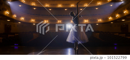 Ballet female dancer practices on theater stage Ballet female dancer practices on theater stage 101522799