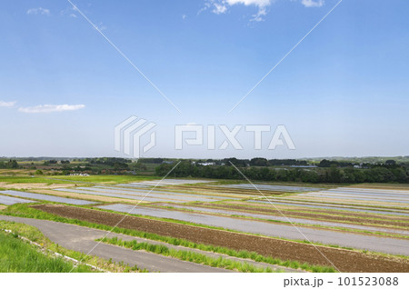 郊外の田園風景 郊外の田園風景 101523088
