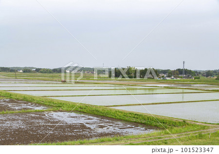 郊外の田園風景 101523347