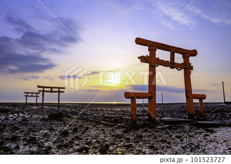 有明海の神秘的な風景　大魚神社の海中鳥居　（佐賀県） 101523727