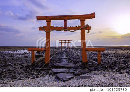 有明海の神秘的な風景　大魚神社の海中鳥居　（佐賀県） 101523730