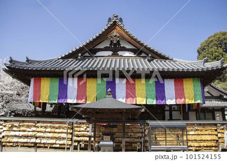 安倍文殊院 本殿 101524155