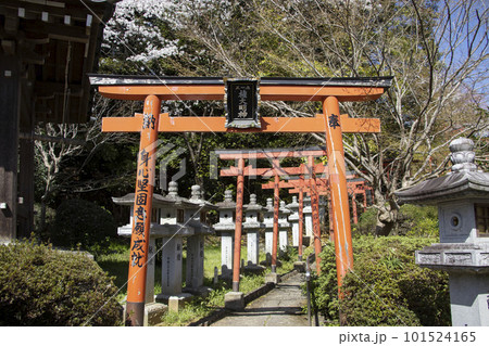 安倍文殊院 稲荷神社 101524165