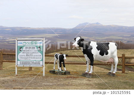 北海道　弟子屈　900草原展望台 101525591