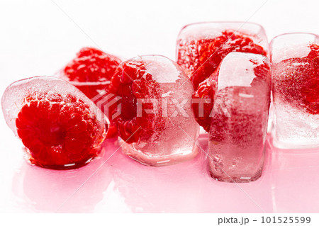 Raspberry ice cubes on pink glossy background Raspberry ice cubes on pink glossy background 101525599