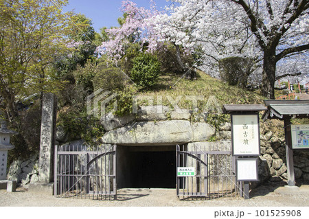 文殊院西古墳 101525908