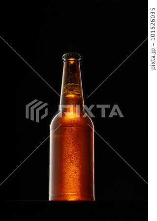 Beer bottle on dark background, copy space 101526035