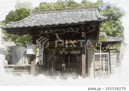 水彩画風 宮島 存光寺 広島県廿日市市 水彩画風 宮島 存光寺 広島県廿日市市 101526270