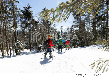 北八ヶ岳にて雪山登山を楽しむ 101527662