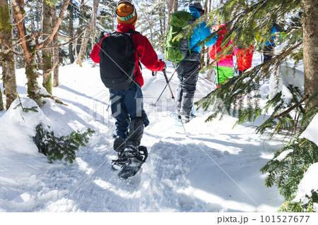 北八ヶ岳にてスノーシューを楽しむ 101527677