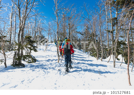 北八ヶ岳にてスノーシューを楽しむ 101527681