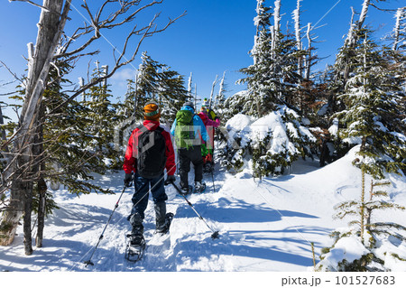 北八ヶ岳にてスノーシューを楽しむ 101527683