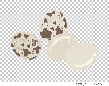 鵪鶉蛋圖 101527706