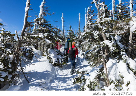 北八ヶ岳にて雪山登山を楽しむ 101527719