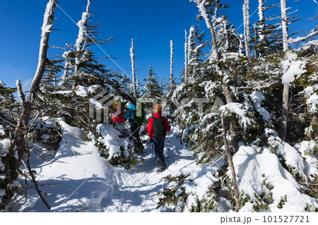 北八ヶ岳にて雪山登山を楽しむ 101527721