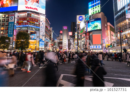 《東京都》渋谷駅前・スクランブル交差点 101527731