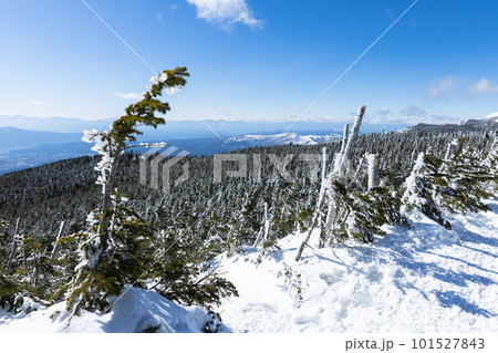 北八ヶ岳にて雪山登山を楽しむ 101527843