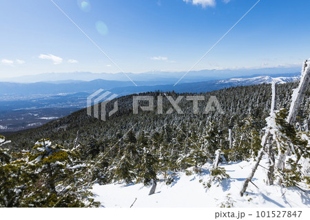 北八ヶ岳にて雪山登山を楽しむ 北八ヶ岳にて雪山登山を楽しむ 101527847