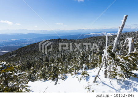 北八ヶ岳にて雪山登山を楽しむ 北八ヶ岳にて雪山登山を楽しむ 101527848