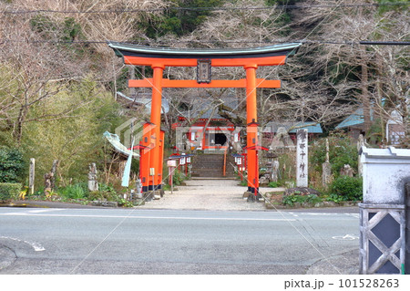 伊那下神社の赤い鳥居(静岡県 松崎町) 伊那下神社の赤い鳥居(静岡県 松崎町) 101528263