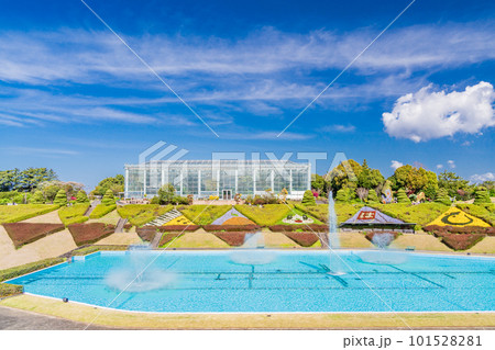 （静岡県）はままつフラワーパーク　大温室と噴水池　青い空 101528281