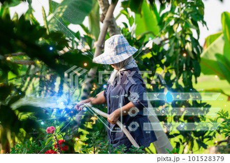 Smart Farm, Gardener watering plants in garden Smart Farm, Gardener watering plants in garden 101528379