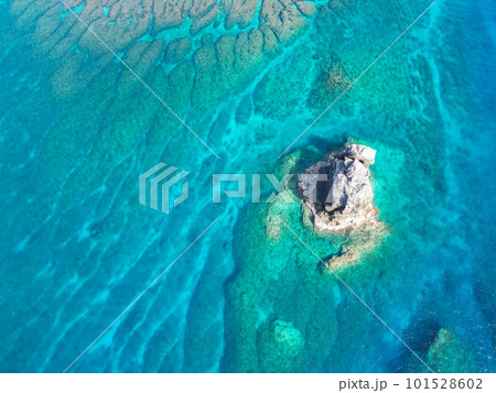 沖縄の美しい海 珊瑚礁の海に浮かぶ大量の透明なサンゴ礁 沖縄の美しい海 珊瑚礁の海に浮かぶ大量の透明なサンゴ礁 101528602