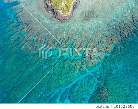 沖縄の美しい海 珊瑚礁の海に浮かぶ大量の透明なサンゴ礁 沖縄の美しい海 珊瑚礁の海に浮かぶ大量の透明なサンゴ礁 101528603